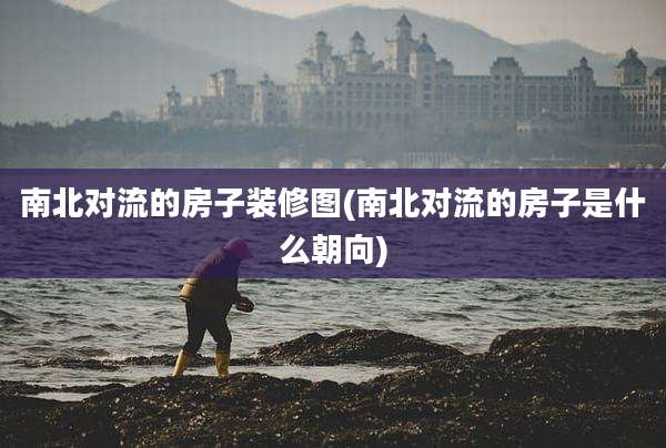 南北对流的房子装修图(南北对流的房子是什么朝向)