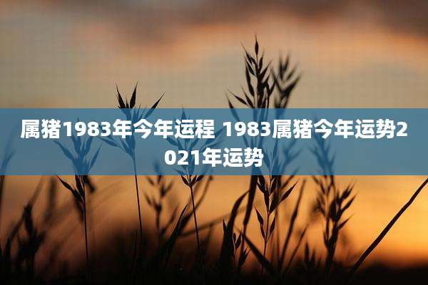 属猪1983年今年运程 1983属猪今年运势2021年运势