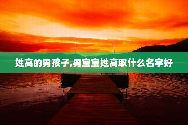 姓高的男孩子,男宝宝姓高取什么名字好