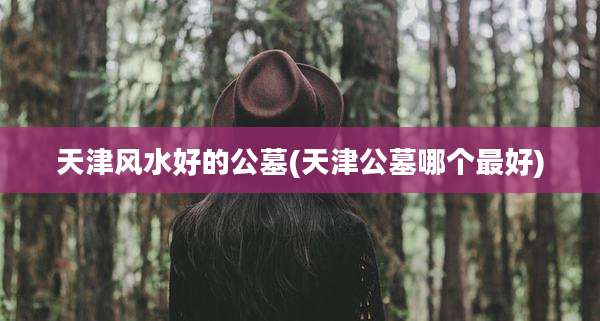 天津风水好的公墓(天津公墓哪个最好)