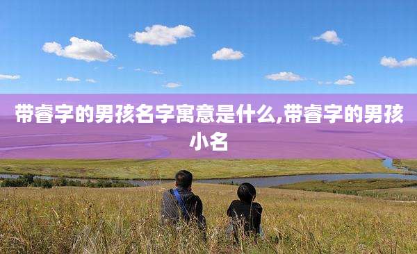 带睿字的男孩名字寓意是什么,带睿字的男孩小名