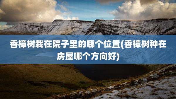 香樟树栽在院子里的哪个位置(香樟树种在房屋哪个方向好)