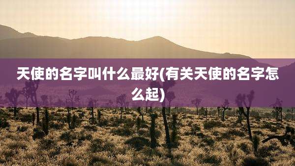 天使的名字叫什么最好(有关天使的名字怎么起)