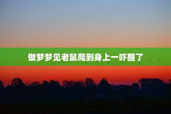 做梦梦见老鼠爬到身上一吓醒了