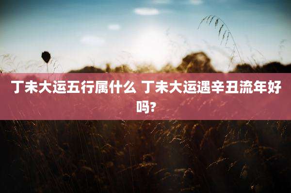 丁未大运五行属什么 丁未大运遇辛丑流年好吗?
