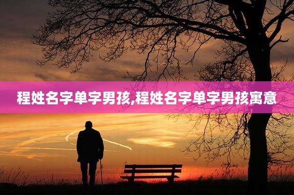 程姓名字单字男孩,程姓名字单字男孩寓意