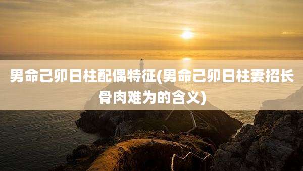 男命己卯日柱配偶特征(男命己卯日柱妻招长骨肉难为的含义)