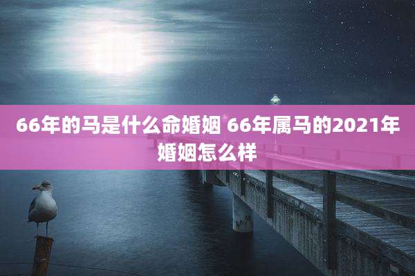 66年的马是什么命婚姻 66年属马的2021年婚姻怎么样
