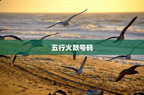 五行火数号码