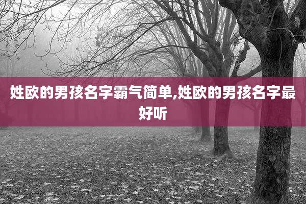 姓欧的男孩名字霸气简单,姓欧的男孩名字最好听