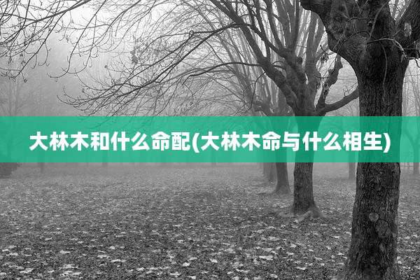 大林木和什么命配(大林木命与什么相生)
