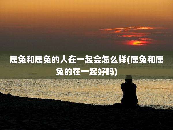 属兔和属兔的人在一起会怎么样(属兔和属兔的在一起好吗)