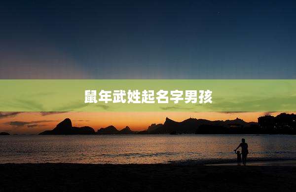 鼠年武姓起名字男孩
