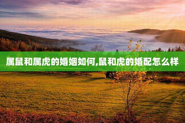 属鼠和属虎的婚姻如何,鼠和虎的婚配怎么样