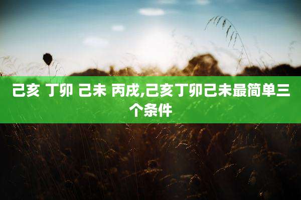 己亥 丁卯 己未 丙戌,己亥丁卯己未最简单三个条件