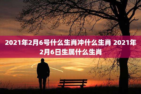 2021年2月6号什么生肖冲什么生肖 2021年2月6日生属什么生肖