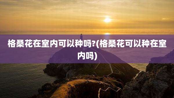 格桑花在室内可以种吗?(格桑花可以种在室内吗)