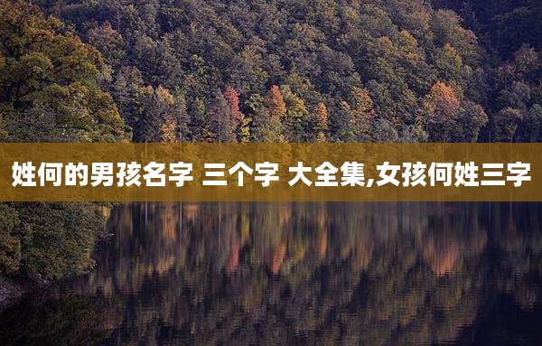 姓何的男孩名字 三个字 大全集,女孩何姓三字