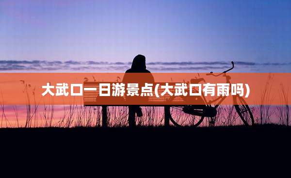 大武口一日游景点(大武口有雨吗)