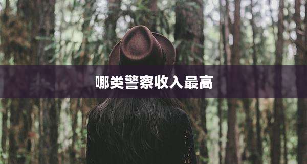 哪类警察收入最高