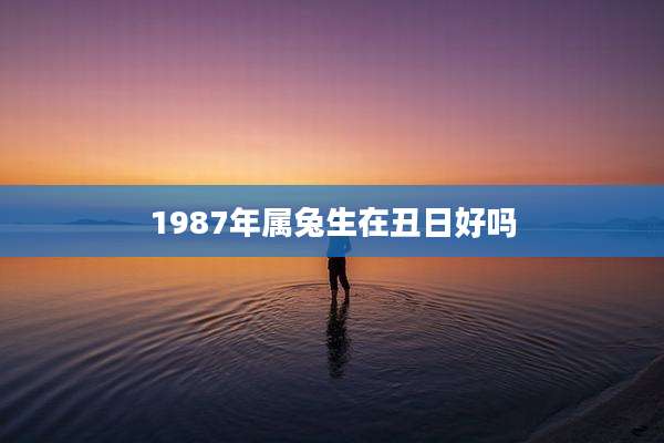 1987年属兔生在丑日好吗