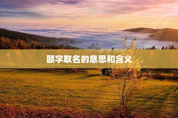 颐字取名的意思和含义