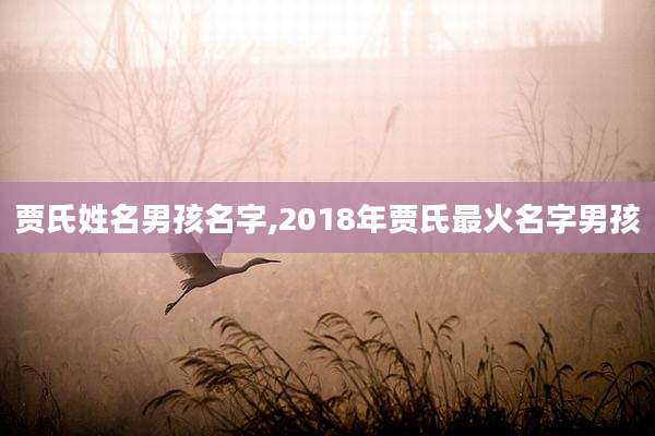 贾氏姓名男孩名字,2018年贾氏最火名字男孩