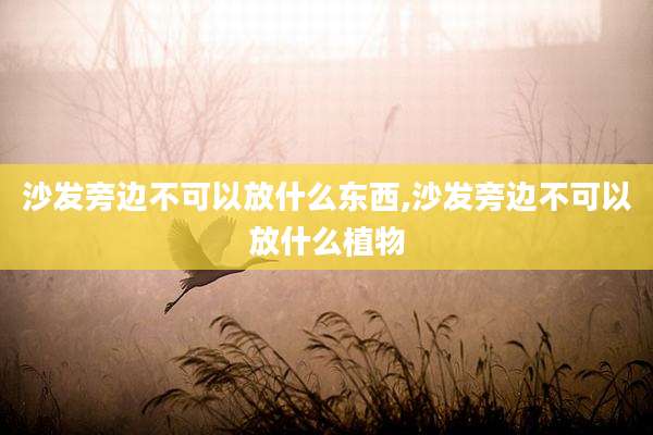 沙发旁边不可以放什么东西,沙发旁边不可以放什么植物