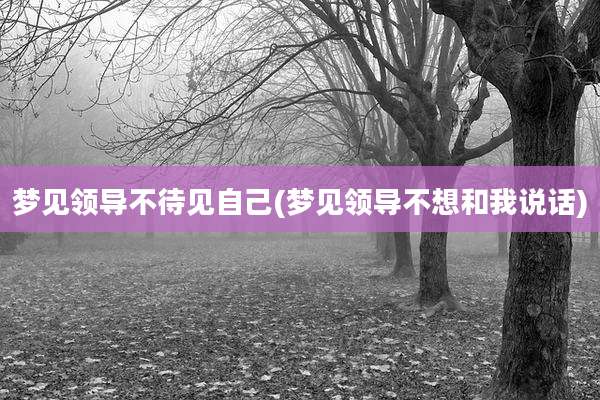 梦见领导不待见自己(梦见领导不想和我说话)