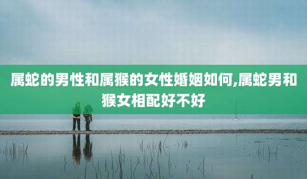 属蛇的男性和属猴的女性婚姻如何,属蛇男和猴女相配好不好