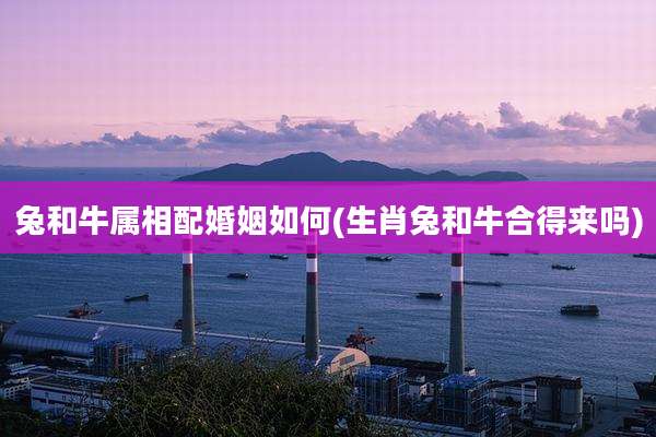 兔和牛属相配婚姻如何(生肖兔和牛合得来吗)