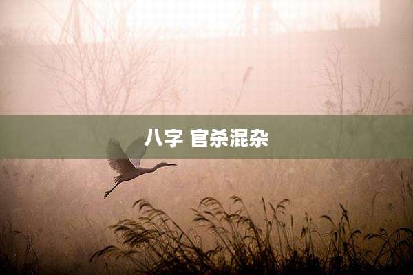 八字 官杀混杂