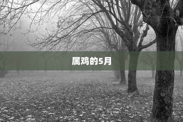 属鸡的5月