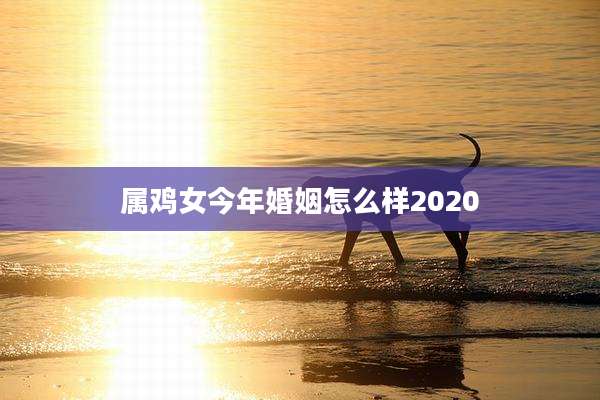 属鸡女今年婚姻怎么样2020