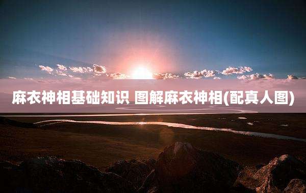 麻衣神相基础知识 图解麻衣神相(配真人图)