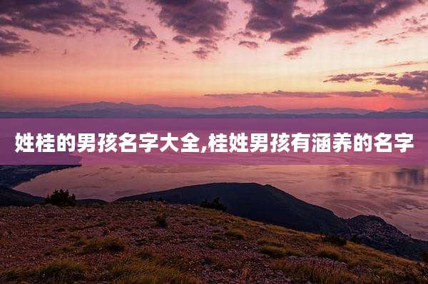 姓桂的男孩名字大全,桂姓男孩有涵养的名字