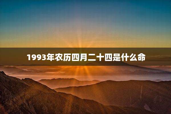 1993年农历四月二十四是什么命