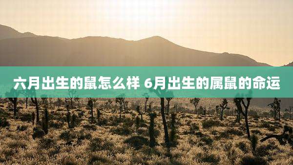 六月出生的鼠怎么样 6月出生的属鼠的命运