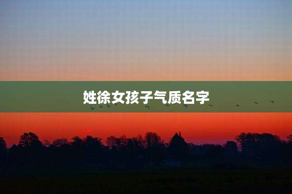 姓徐女孩子气质名字