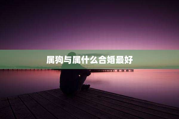 属狗与属什么合婚最好