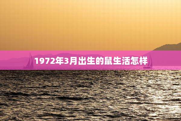 1972年3月出生的鼠生活怎样
