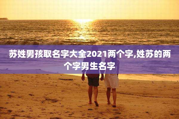 苏姓男孩取名字大全2021两个字,姓苏的两个字男生名字