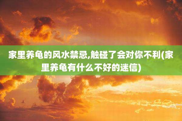 家里养龟的风水禁忌,触碰了会对你不利(家里养龟有什么不好的迷信)