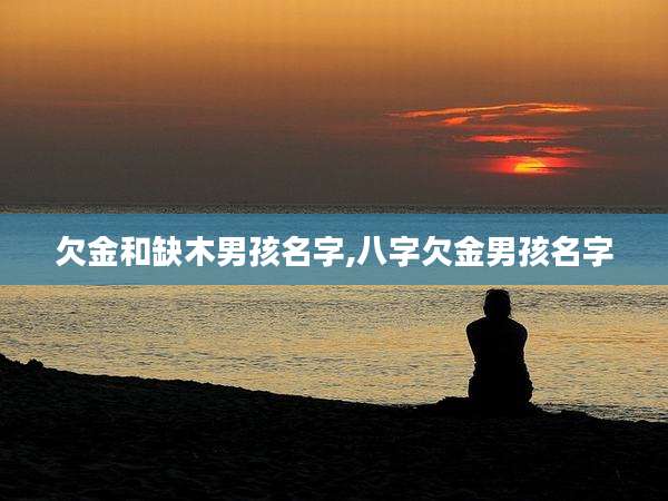 欠金和缺木男孩名字,八字欠金男孩名字