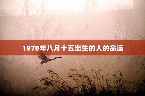 1978年八月十五出生的人的命运