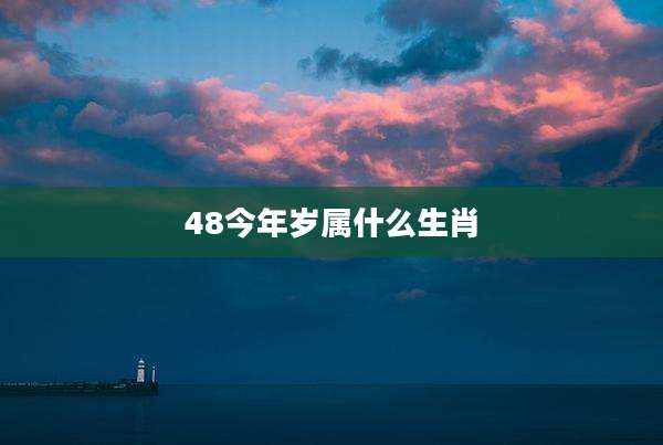48今年岁属什么生肖