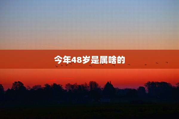 今年48岁是属啥的