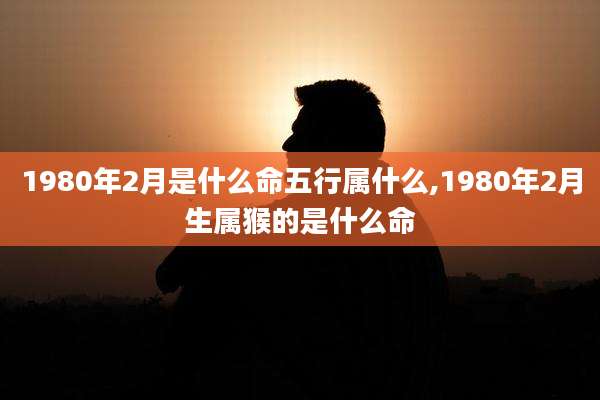 1980年2月是什么命五行属什么,1980年2月生属猴的是什么命