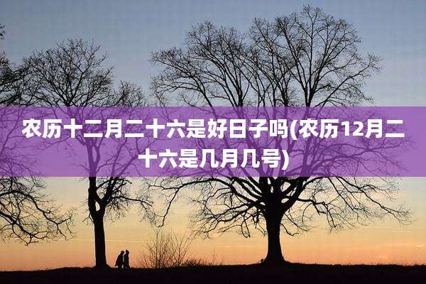 农历十二月二十六是好日子吗(农历12月二十六是几月几号)