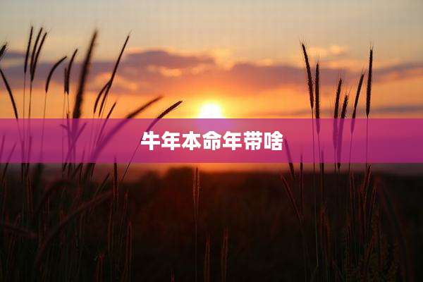牛年本命年带啥